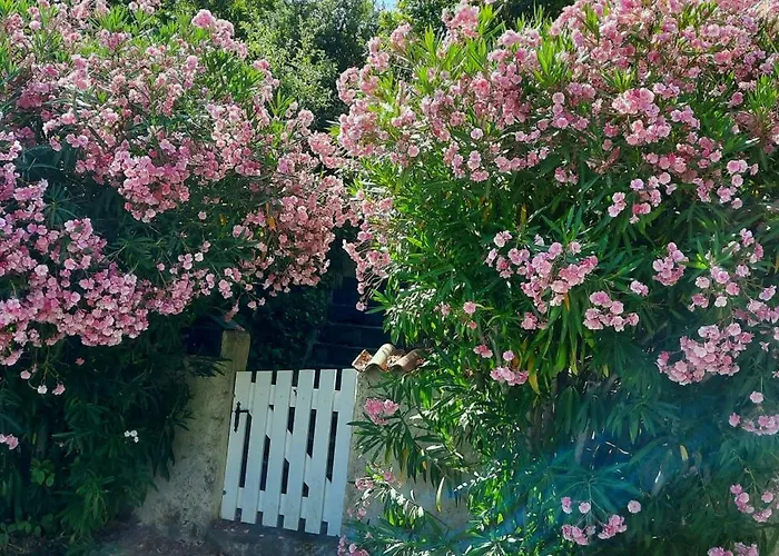 度假居 Casa Mina *